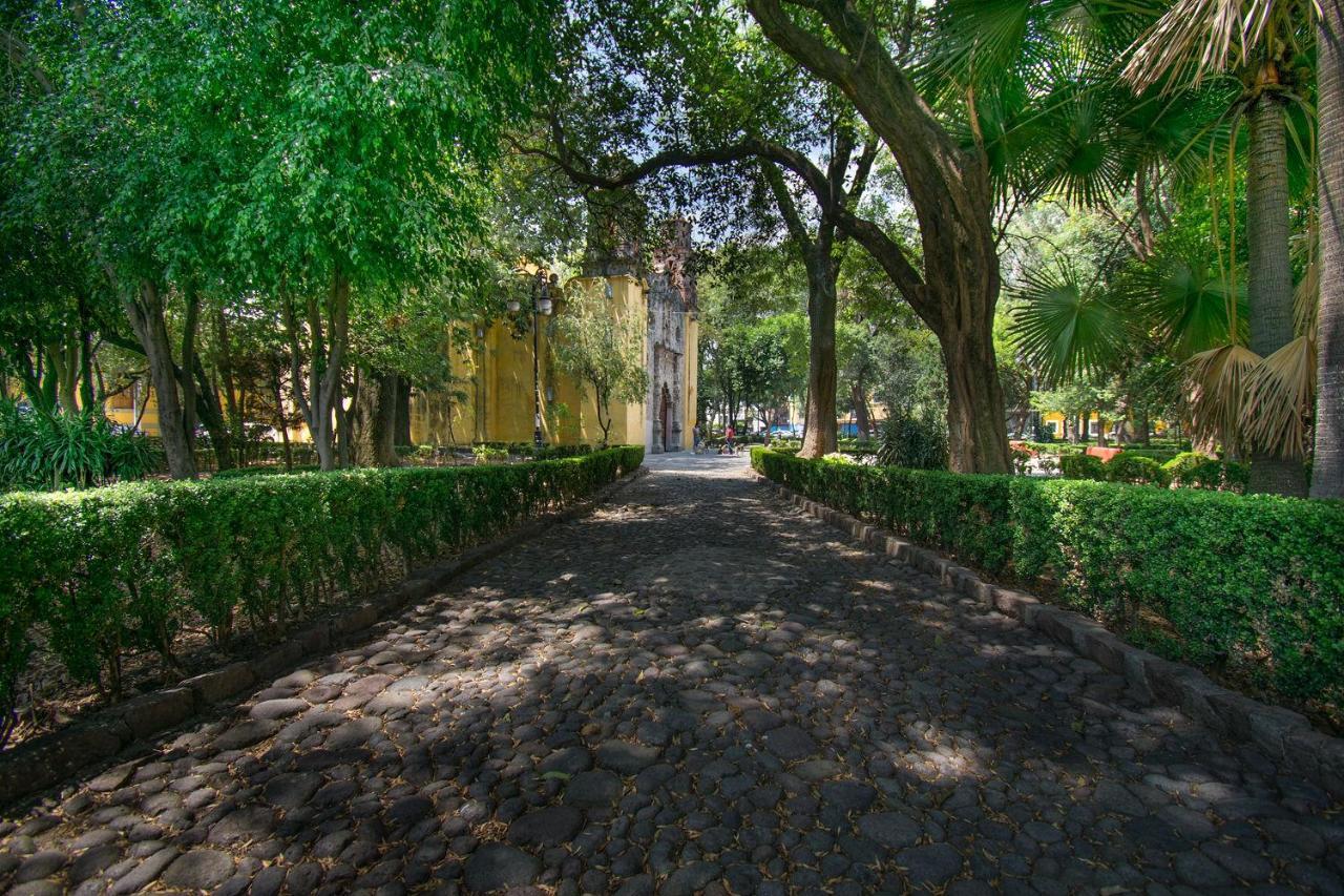 Fl 59 Coyoacan At Your Doorstep! Apartment เม็กซิโกซิตี้ ภายนอก รูปภาพ
