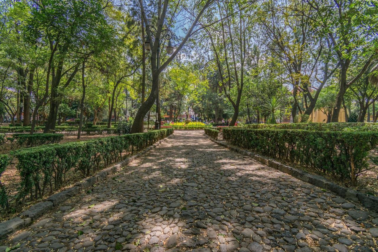 Fl 59 Coyoacan At Your Doorstep! Apartment เม็กซิโกซิตี้ ภายนอก รูปภาพ
